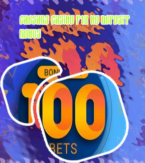 Best bookie bonuses